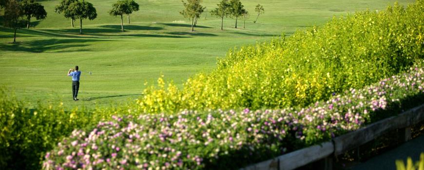 https://golftravelpeople.agiledigitalsolutions.co.uk/wp-content/uploads/2019/04/Almenara-Golf-Club-151.jpg