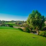 https://golftravelpeople.agiledigitalsolutions.co.uk/wp-content/uploads/2019/04/Aphrodite-Hills-PGA-National-Cyprus-Golf-Club-18-150x150.jpg