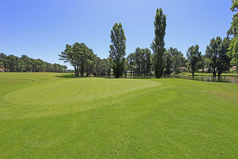 https://golftravelpeople.agiledigitalsolutions.co.uk/wp-content/uploads/2019/04/Aroeira-Golf-Club-1-1.jpg