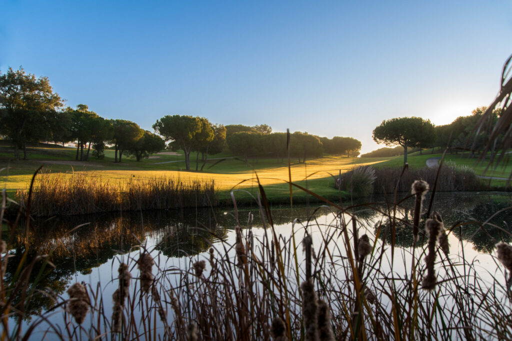 https://golftravelpeople.agiledigitalsolutions.co.uk/wp-content/uploads/2019/04/Castro-Marim-Golf-and-Country-Club-Eastern-Algarve-Portugal-10-1024x683.jpg
