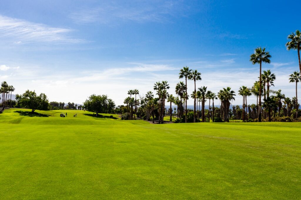https://golftravelpeople.agiledigitalsolutions.co.uk/wp-content/uploads/2019/04/Costa-Adeje-Golf-Club-Tenerife-4-1024x681.jpg