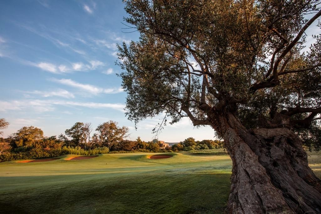 https://golftravelpeople.agiledigitalsolutions.co.uk/wp-content/uploads/2019/04/Costa-Navarino-Golf-The-Dunes-Course-LowRes-13-1024x683.jpg