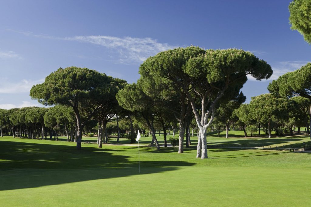https://golftravelpeople.agiledigitalsolutions.co.uk/wp-content/uploads/2019/04/Dom-Pedro-Vilamoura-Old-Course-1-1024x683.jpg
