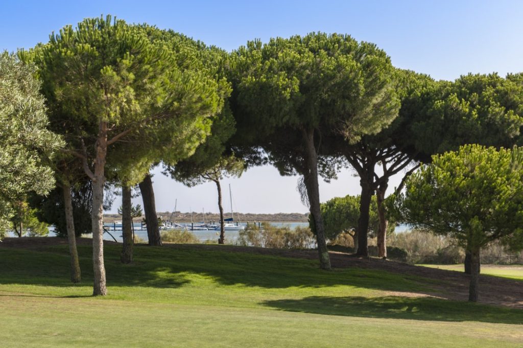 https://golftravelpeople.agiledigitalsolutions.co.uk/wp-content/uploads/2019/04/El-Rompido-Golf-Club-New-1-1024x681.jpg