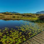 https://golftravelpeople.agiledigitalsolutions.co.uk/wp-content/uploads/2019/04/Fancourt-Hotel-George-Best-of-South-Africa-7-150x150.jpg