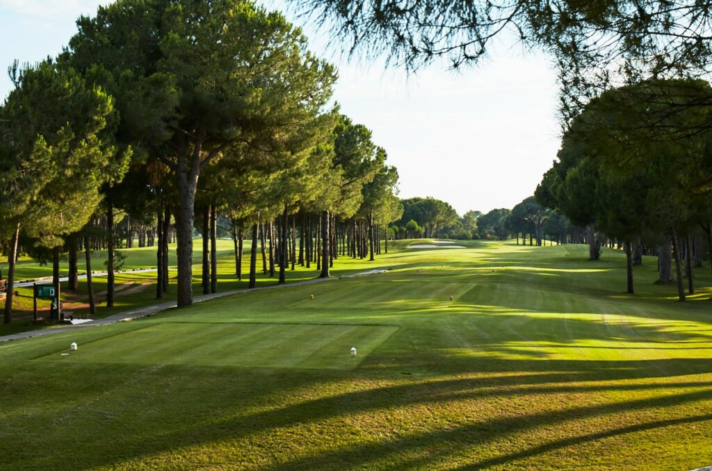 https://golftravelpeople.agiledigitalsolutions.co.uk/wp-content/uploads/2019/04/Gloria-Golf-Club-New-Course-Belek-Turkey-22-1024x678.jpg