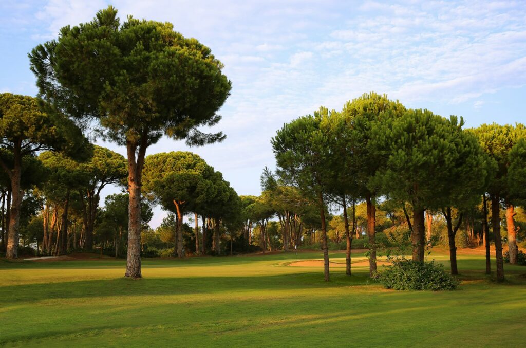 https://golftravelpeople.agiledigitalsolutions.co.uk/wp-content/uploads/2019/04/Gloria-Golf-Club-Verde-Select-Course-Belek-Turkey-13-1024x677.jpg