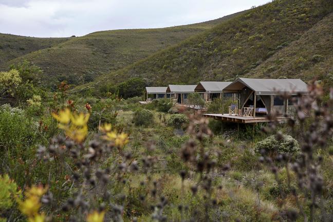https://golftravelpeople.agiledigitalsolutions.co.uk/wp-content/uploads/2019/04/Gondwana-Game-Reserve-Kwena-Lodge-20.jpg