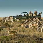 https://golftravelpeople.agiledigitalsolutions.co.uk/wp-content/uploads/2019/04/Gondwana-Game-Reserve-Kwena-Lodge-5-150x150.jpg