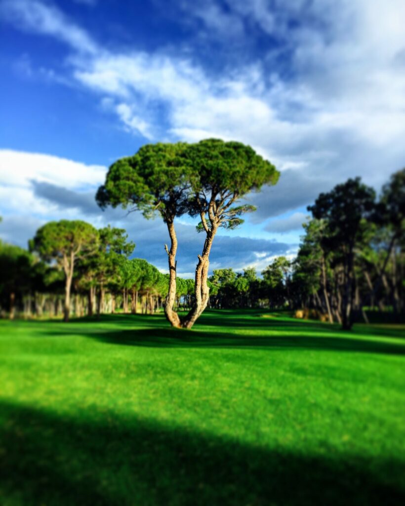 https://golftravelpeople.agiledigitalsolutions.co.uk/wp-content/uploads/2019/04/Kaya-Palazzo-Golf-Club-Belek-Antalya-Turkey-3-820x1024.jpg
