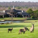 https://golftravelpeople.agiledigitalsolutions.co.uk/wp-content/uploads/2019/04/Leopard-Creek-Golf-Club-3-150x150.jpg