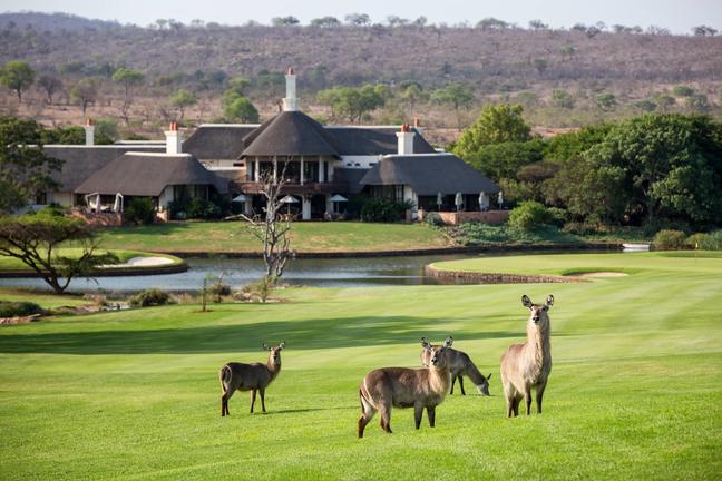 https://golftravelpeople.agiledigitalsolutions.co.uk/wp-content/uploads/2019/04/Leopard-Creek-Golf-Club-3.jpg