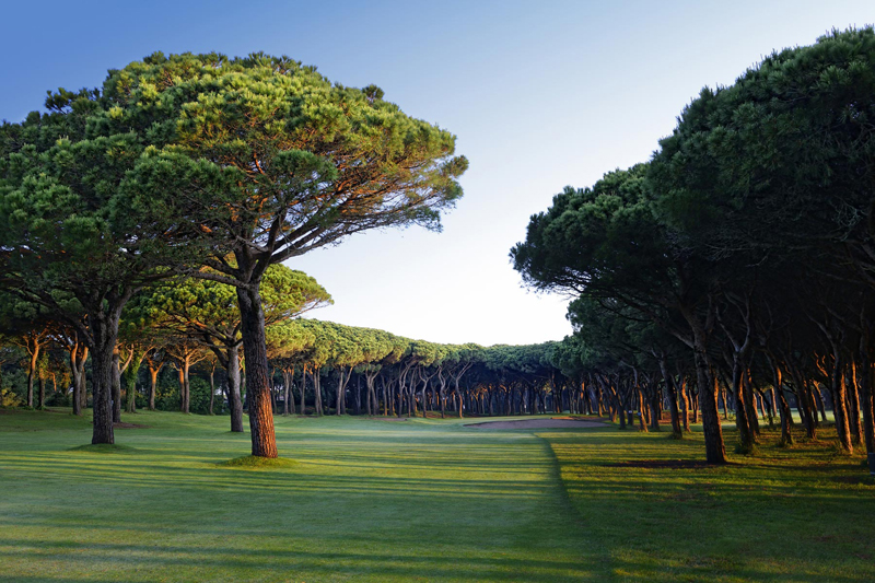 https://golftravelpeople.agiledigitalsolutions.co.uk/wp-content/uploads/2019/04/Pals-Golf-Club-Girona-Costa-Brava-7.jpg