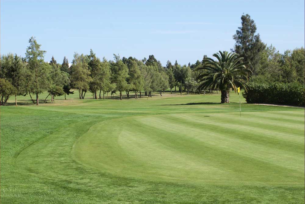 https://golftravelpeople.agiledigitalsolutions.co.uk/wp-content/uploads/2019/04/Pestana-Alto-Golf-Club-1.jpg