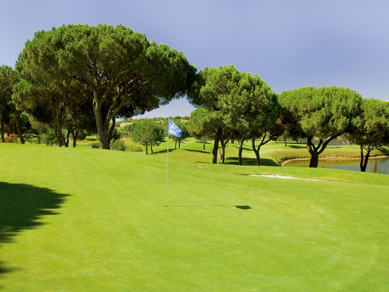 https://golftravelpeople.agiledigitalsolutions.co.uk/wp-content/uploads/2019/04/Pinheiros-Altos-Golf-Club-Olives-Course-1.jpg