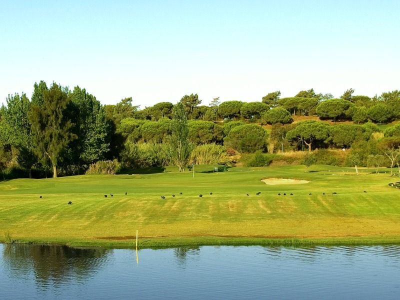 https://golftravelpeople.agiledigitalsolutions.co.uk/wp-content/uploads/2019/04/Pinheiros-Altos-Golf-Club-Olives-Course-3.jpg