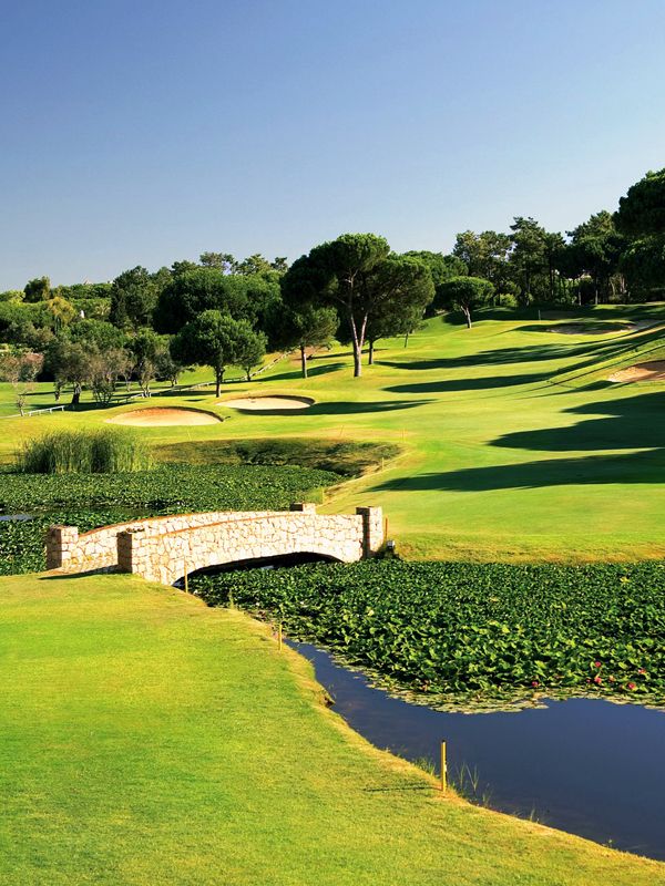https://golftravelpeople.agiledigitalsolutions.co.uk/wp-content/uploads/2019/04/Pinheiros-Altos-Golf-Club-Pines-Course-1.jpg