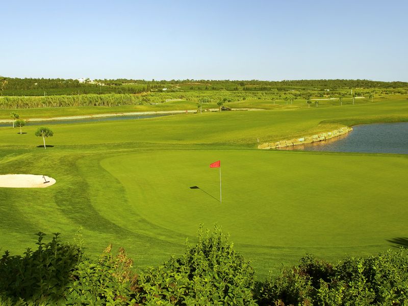 https://golftravelpeople.agiledigitalsolutions.co.uk/wp-content/uploads/2019/04/Pinheiros-Altos-Golf-Club-Pines-Course-6.jpg