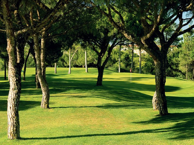 https://golftravelpeople.agiledigitalsolutions.co.uk/wp-content/uploads/2019/04/Pinheiros-Altos-Golf-Club-Pines-Course-8.jpg
