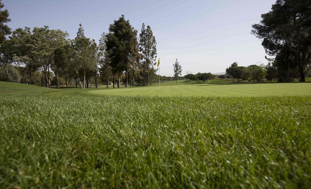 https://golftravelpeople.agiledigitalsolutions.co.uk/wp-content/uploads/2019/04/Real-Club-Pineda-Golf-Seville-3-1024x622.jpg