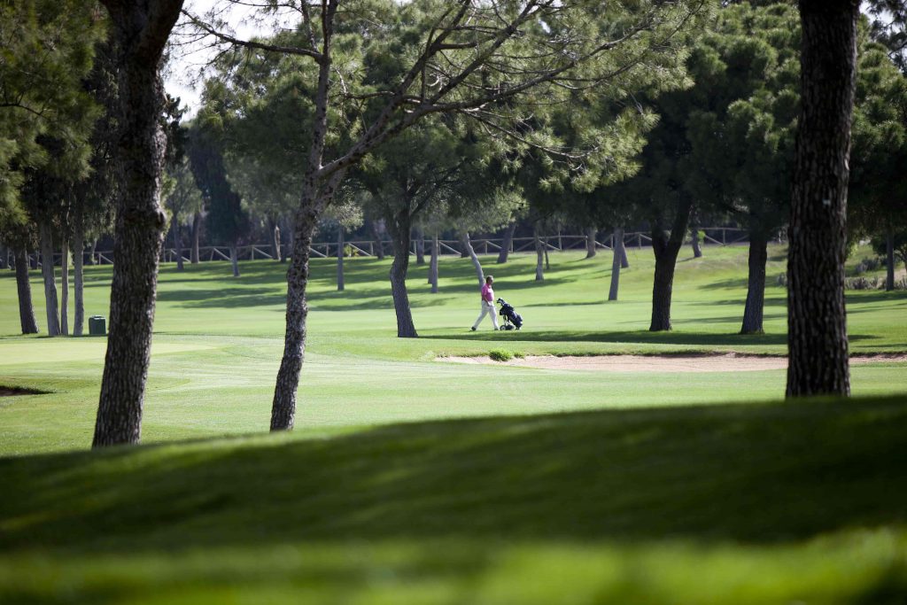 https://golftravelpeople.agiledigitalsolutions.co.uk/wp-content/uploads/2019/04/Real-Club-Pineda-Golf-Seville-8-1024x683.jpg