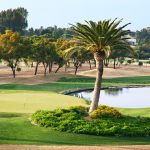 https://golftravelpeople.agiledigitalsolutions.co.uk/wp-content/uploads/2019/04/Real-Club-Seville-Winter-Conditions-6-150x150.jpeg