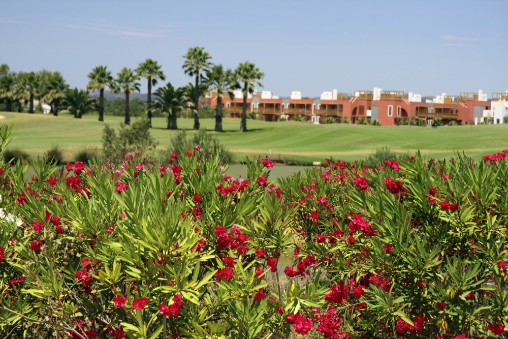 https://golftravelpeople.agiledigitalsolutions.co.uk/wp-content/uploads/2019/04/Robinson-Club-Quinta-da-Ria-2.jpg