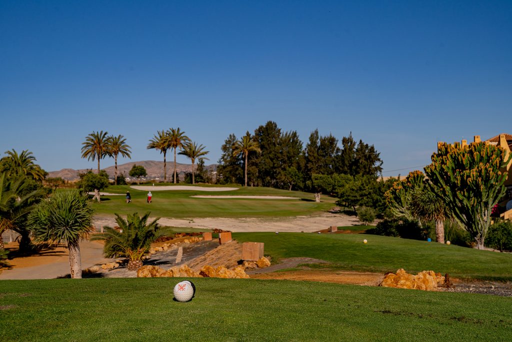 https://golftravelpeople.agiledigitalsolutions.co.uk/wp-content/uploads/2019/04/Valle-del-Este-Golf-Club-Almeria-Spain-21-1024x683.jpg