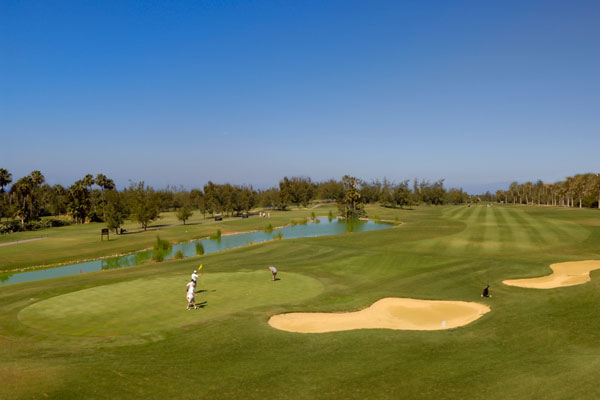 https://golftravelpeople.agiledigitalsolutions.co.uk/wp-content/uploads/2019/04/golf-las-americas-tenerife-11.jpg