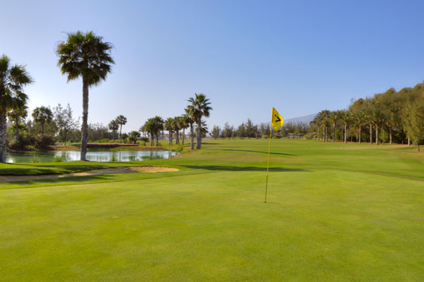 https://golftravelpeople.agiledigitalsolutions.co.uk/wp-content/uploads/2019/04/golf-las-americas-tenerife-15.jpg