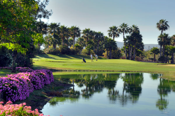 https://golftravelpeople.agiledigitalsolutions.co.uk/wp-content/uploads/2019/04/golf-las-americas-tenerife-3.jpg