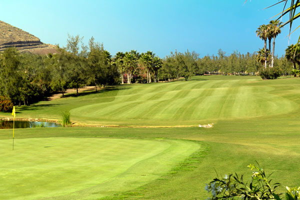 https://golftravelpeople.agiledigitalsolutions.co.uk/wp-content/uploads/2019/04/golf-las-americas-tenerife-6.jpg