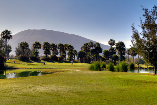 https://golftravelpeople.agiledigitalsolutions.co.uk/wp-content/uploads/2019/04/golf-las-americas-tenerife-9.jpg