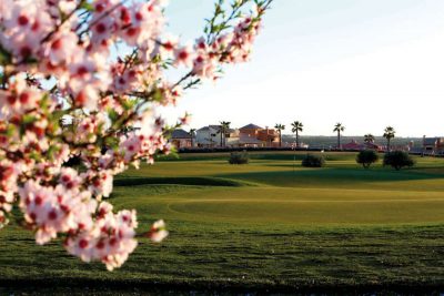 https://golftravelpeople.agiledigitalsolutions.co.uk/wp-content/uploads/2019/06/Hacienda-del-Alamo-Golf-Club-Murcia-Spain-8-400x267.jpg