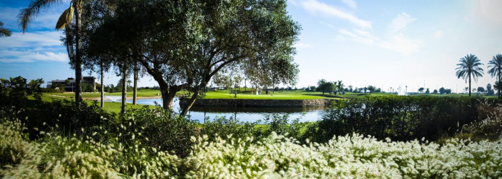 https://golftravelpeople.agiledigitalsolutions.co.uk/wp-content/uploads/2019/06/Roda-Golf-Club-Murcia-9-1024x366.jpg