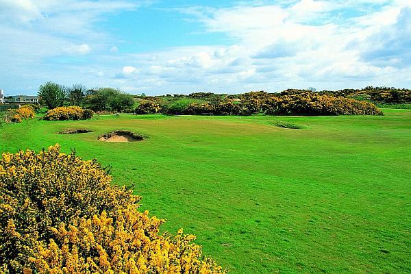 https://golftravelpeople.agiledigitalsolutions.co.uk/wp-content/uploads/2019/07/Royal-County-Down-Golf-Club-Annesley-Links-Northern-Ireland-2.jpg
