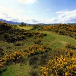 https://golftravelpeople.agiledigitalsolutions.co.uk/wp-content/uploads/2019/07/Royal-County-Down-Golf-Club-Annesley-Links-Northern-Ireland-5-150x150.jpg