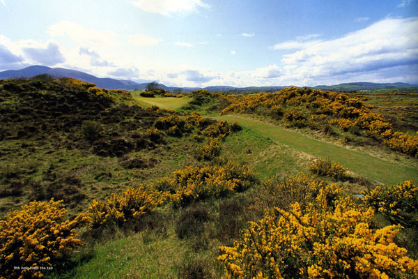 https://golftravelpeople.agiledigitalsolutions.co.uk/wp-content/uploads/2019/07/Royal-County-Down-Golf-Club-Annesley-Links-Northern-Ireland-5.jpg