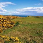 https://golftravelpeople.agiledigitalsolutions.co.uk/wp-content/uploads/2019/07/Royal-County-Down-Golf-Club-Annesley-Links-Northern-Ireland-6-150x150.jpg