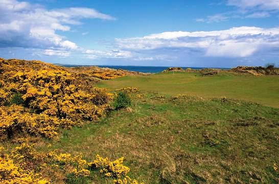 https://golftravelpeople.agiledigitalsolutions.co.uk/wp-content/uploads/2019/07/Royal-County-Down-Golf-Club-Annesley-Links-Northern-Ireland-6.jpg