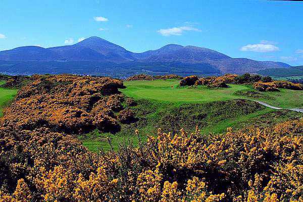 https://golftravelpeople.agiledigitalsolutions.co.uk/wp-content/uploads/2019/07/Royal-County-Down-Golf-Club-Annesley-Links-Northern-Ireland-8.jpg