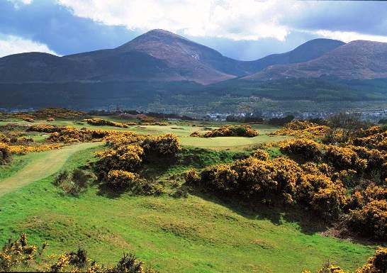 https://golftravelpeople.agiledigitalsolutions.co.uk/wp-content/uploads/2019/07/Royal-County-Down-Golf-Club-Annesley-Links-Northern-Ireland-9.jpg