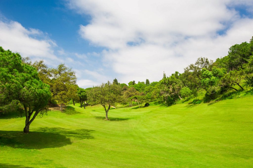 https://golftravelpeople.agiledigitalsolutions.co.uk/wp-content/uploads/2019/11/Chaparral-Golf-Club-Mijas-Costa-del-Sol-hoyo-11-Copy-1024x683.jpg