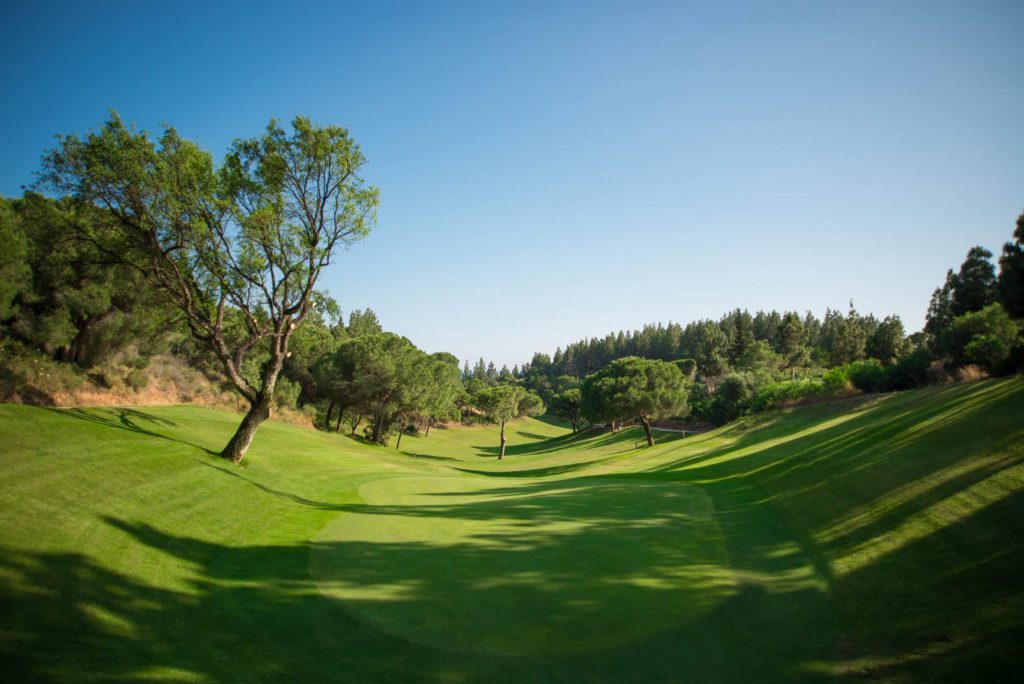 https://golftravelpeople.agiledigitalsolutions.co.uk/wp-content/uploads/2019/11/Chaparral-Golf-Club-Mijas-Costa-del-Sol-hoyo-11-a-Copy-1024x684.jpg