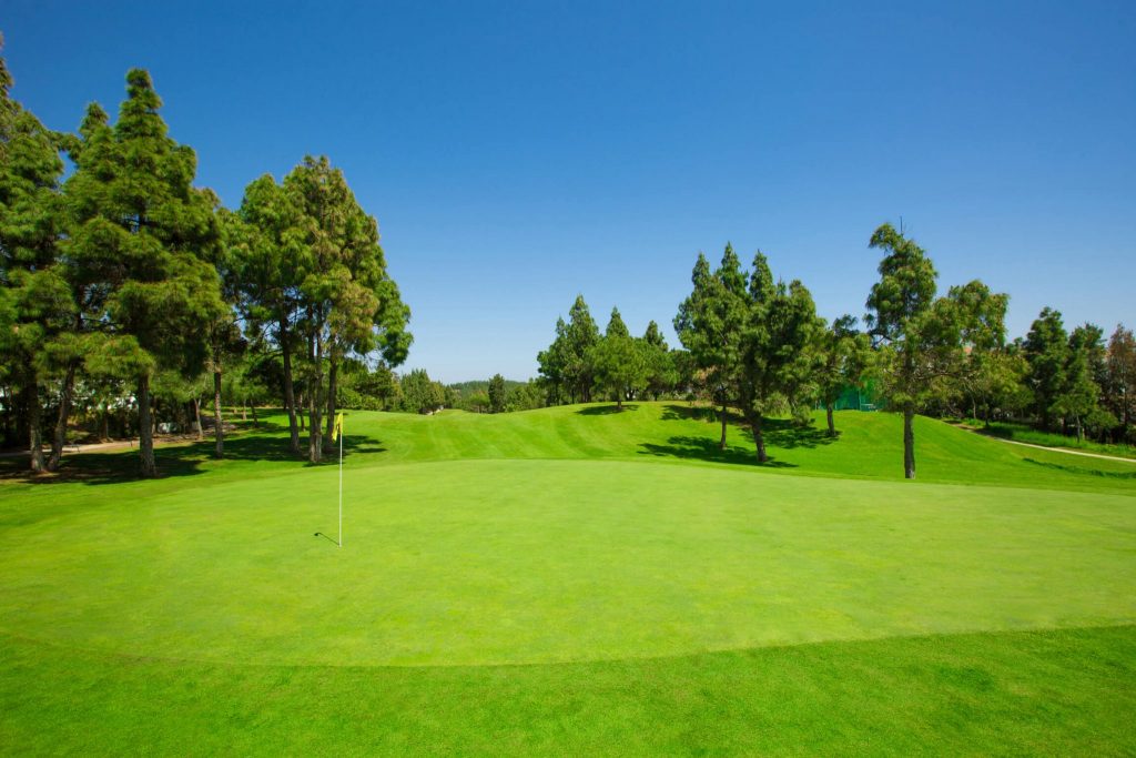 https://golftravelpeople.agiledigitalsolutions.co.uk/wp-content/uploads/2019/11/Chaparral-Golf-Club-Mijas-Costa-del-Sol-hoyo-5-Copy-1024x683.jpg