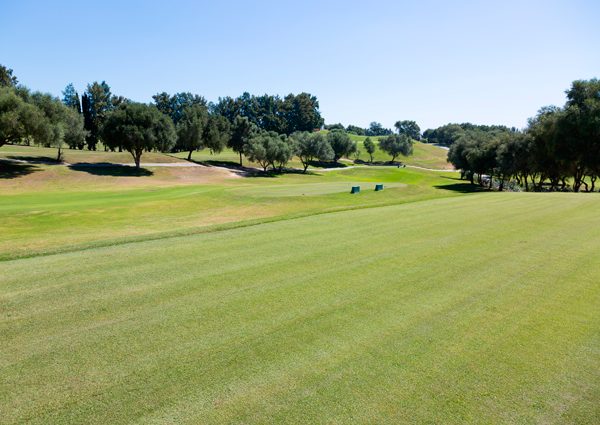https://golftravelpeople.agiledigitalsolutions.co.uk/wp-content/uploads/2019/11/La-Canada-Golf-Club-Sotogrande-Cadiz-10.jpg