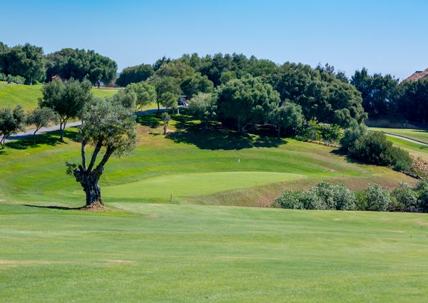 https://golftravelpeople.agiledigitalsolutions.co.uk/wp-content/uploads/2019/11/La-Canada-Golf-Club-Sotogrande-Cadiz-11.jpg