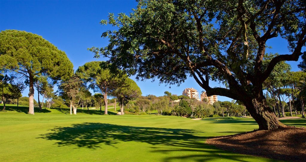 https://golftravelpeople.agiledigitalsolutions.co.uk/wp-content/uploads/2019/11/Rio-Real-Golf-Club-Marbella-5-1024x544.jpg