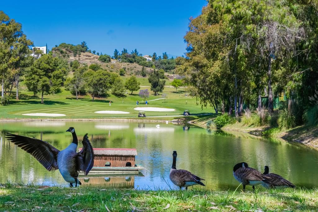 https://golftravelpeople.agiledigitalsolutions.co.uk/wp-content/uploads/2019/12/Sol-Marbella-Estepona-Atalaya-Park-4-1024x683.jpg