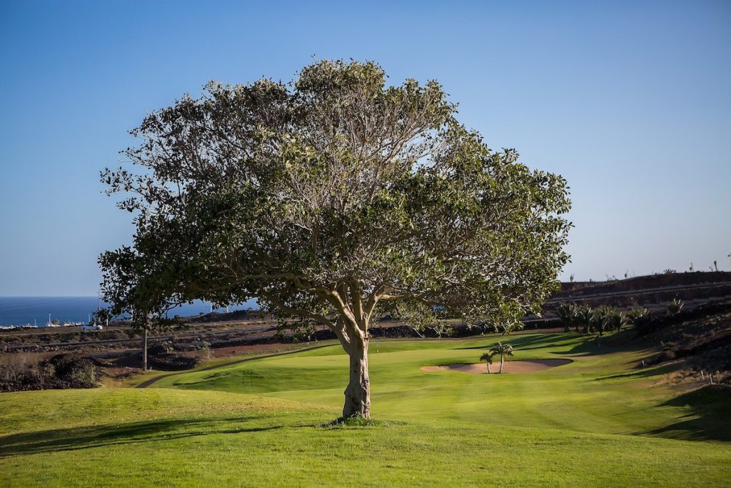 https://golftravelpeople.agiledigitalsolutions.co.uk/wp-content/uploads/2020/11/Lanzarote-Golf-Club-3-1024x683.jpg